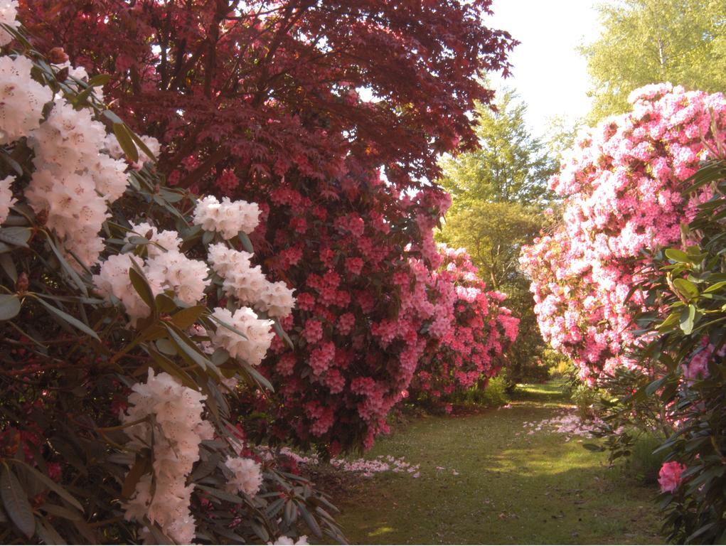 レーブングラス Muncaster Castle Coachman'S Quarters Bed & Breakfast エクステリア 写真